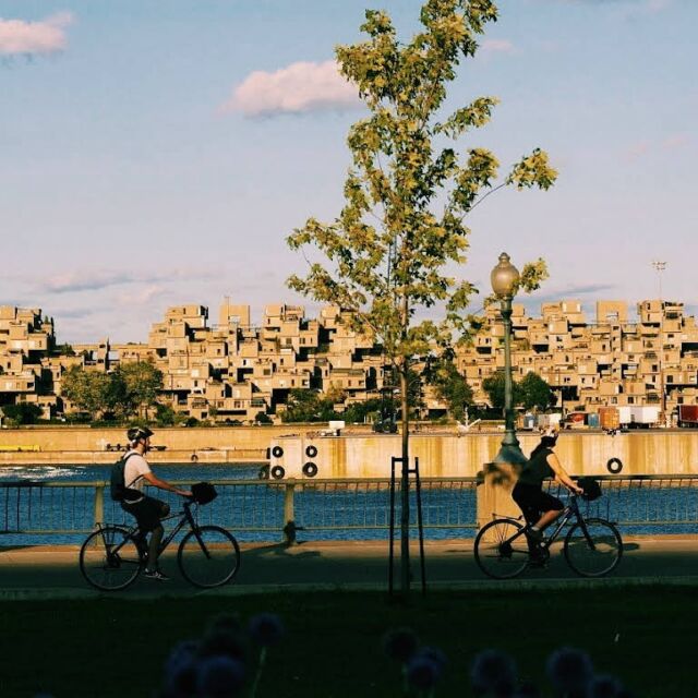 Quelle meilleure ville que MONTRÉAL pour célébrer la Journée mondiale de la Bicyclette ? 🚴‍♂️🚴‍♀️🚴🏽 Locations disponibles toute la journée – et toute la semaine, toute la saison. Réservez en ligne, lien dans notre bio 🔗

What better city in which to celebrate World Bike Day than MONTREAL 🚴‍♂️ Rentals available all day – and all week, all season. Book on our website, link in our bio